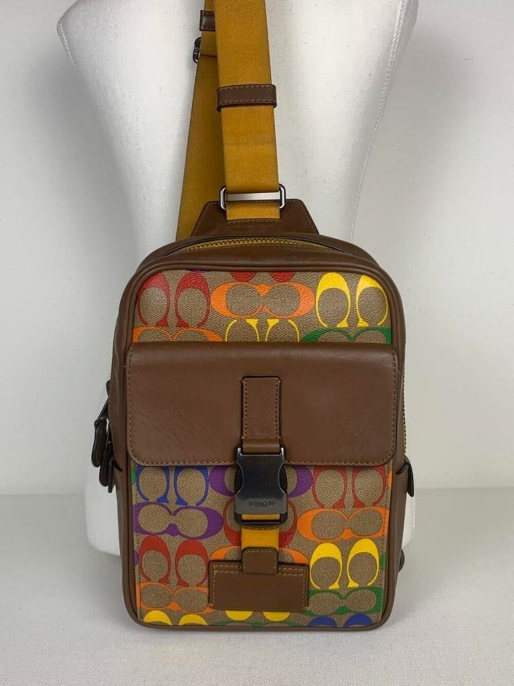 Coach beautiful rainbow